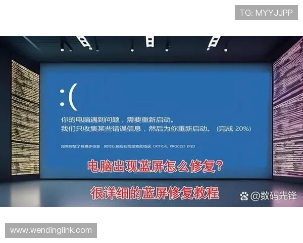 问鼎官网下载正版软件，官方正版保障您的电脑安全无病毒