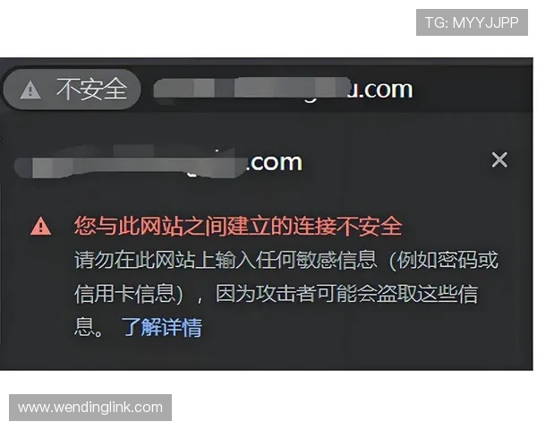 问鼎网址官方网站地址安全性分析及访问过程中应注意的安全事项